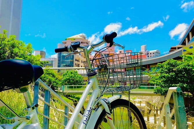 Okinawa HIP-HOP BUS A Course Tour | Churaumi Aqualium,Kori Island - What the $52.18 really buys you on this route