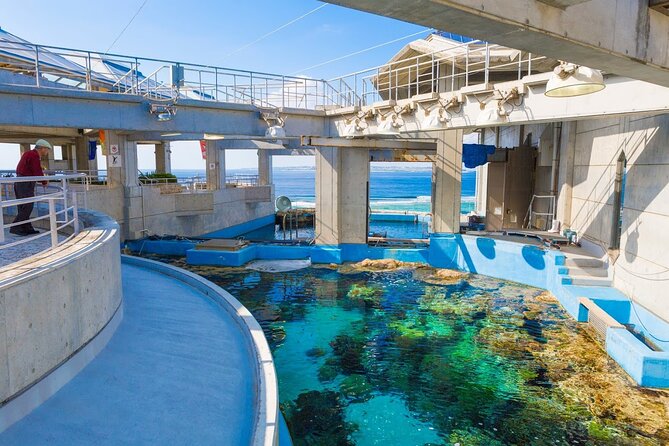 Okinawa HIP-HOP BUS B - 1 Course Tour (Okinawa Churaumi Aquarium) - Mihama American Village: Food, Shopping, and a Ferris Wheel Stop