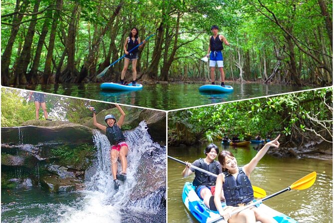 Okinawa Iriomote Mangrove SUP or Canoe and Splash Canyoning Tour - Key points to know before you go