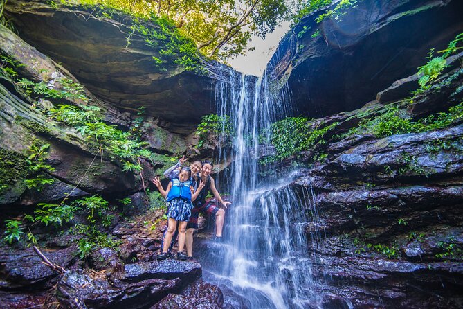 Okinawa Iriomote Mangrove SUP or Canoe Tour - Key highlights to know before you go