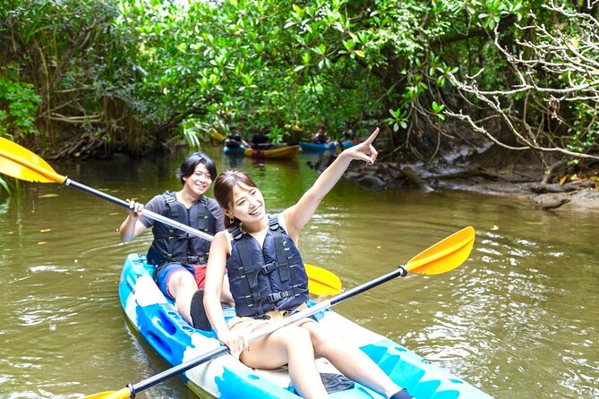 Okinawa Iriomote Mangrove SUP or Canoe Tour - Why Iriomote Mangroves Feel So Peaceful on the Water