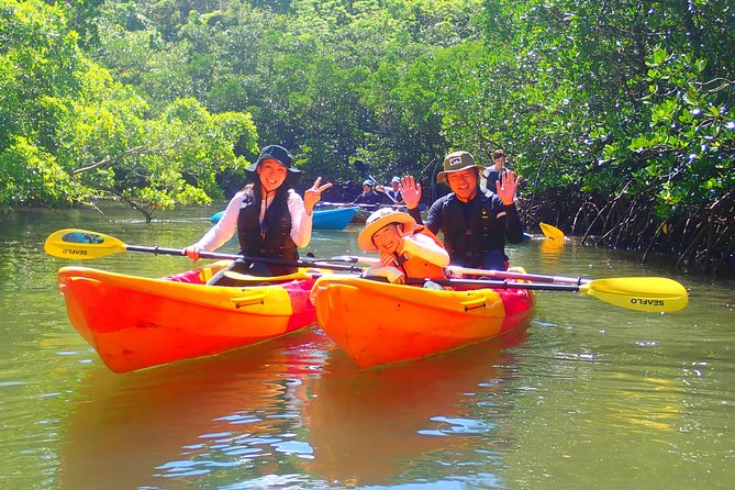 Okinawa Iriomote Mangrove SUP or Canoe Tour - Iriomote-jima Stop: Close Mangrove Views and Tight Channel Moments