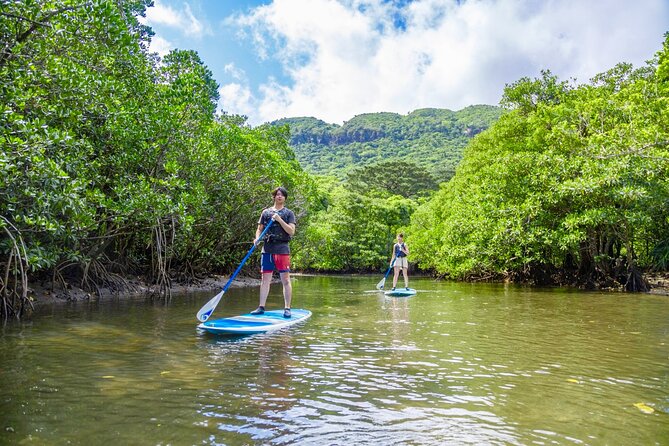 Okinawa Iriomote Mangrove SUP or Canoe Tour - Free Waterproof Photo Data: The Best Souvenir You Did Nothing For