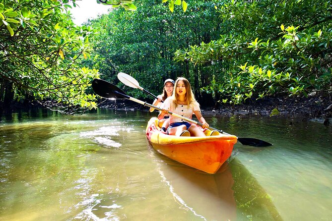Okinawa Iriomote Mangrove SUP or Canoe Tour - Weather Rules: Light Rain Is Part of the Deal
