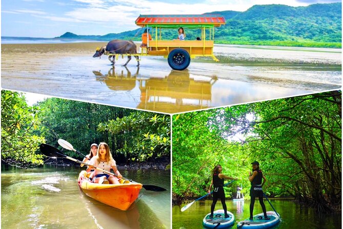 Okinawa Iriomote SUP or Canoe and Sightseeing in Yubujima Island - Why Yubu-jima mangroves feel so different from “just paddling”
