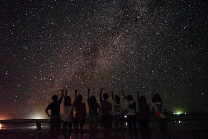 Okinawa Ishigaki Island Night Starry sky and Jungle night tour - Key Highlights I’d Plan Around
