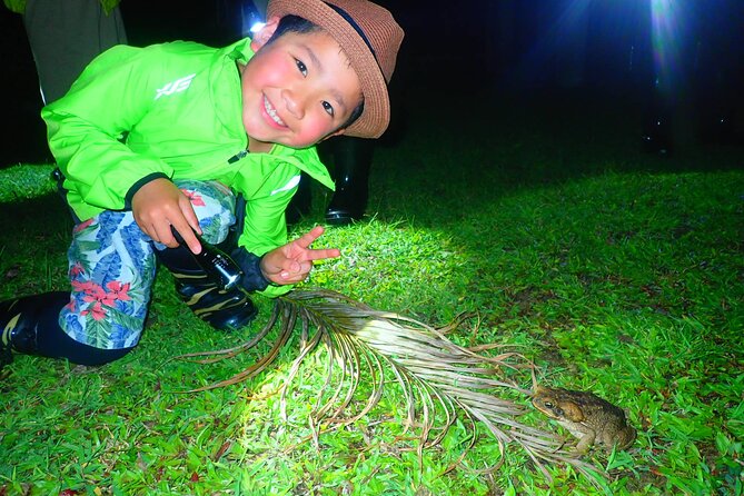 Okinawa Ishigaki Island Night Starry sky and Jungle night tour - Why Ishigaki at Night Feels Like a Natural Planetarium