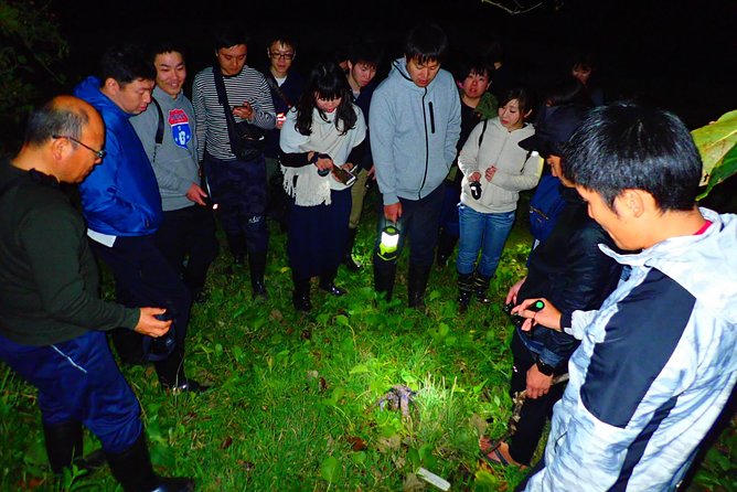 Okinawa Ishigaki Island Night Starry sky and Jungle night tour - Meet-Up, Pickup, and Group Size Reality Check