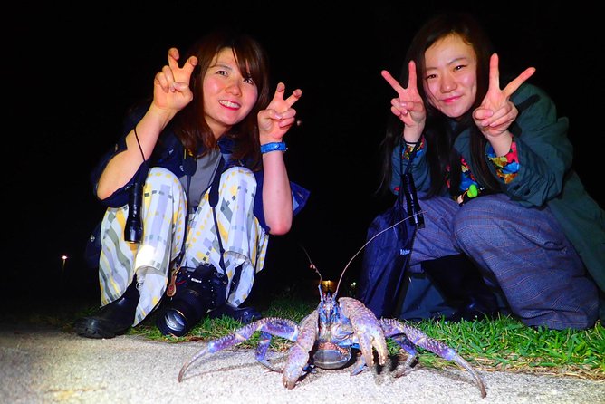 Okinawa Ishigaki Island Night Starry sky and Jungle night tour - Price and Value: What $32.37 Buys You at Night