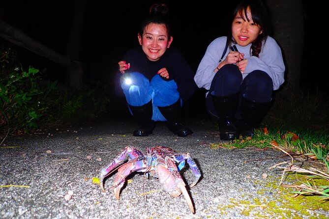 Okinawa Ishigaki Island Night Starry sky and Jungle night tour - The 1.5-Hour Plan, Start Time, and What You Can Expect