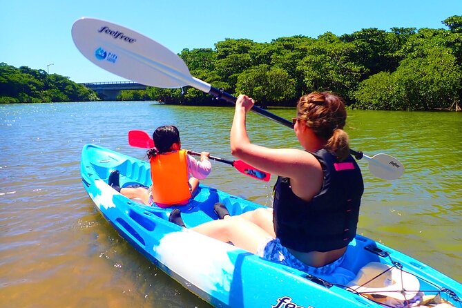 Okinawa Ishigaki Mangrove SUP or Canoe Tour - Key things to know before you go