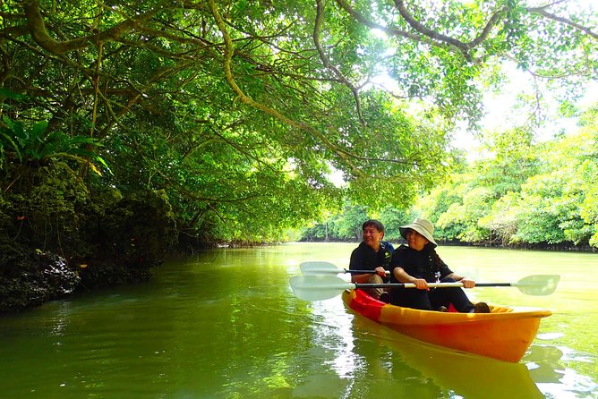 Okinawa Ishigaki Mangrove SUP or Canoe Tour - SUP versus canoe, and how they handle different ages