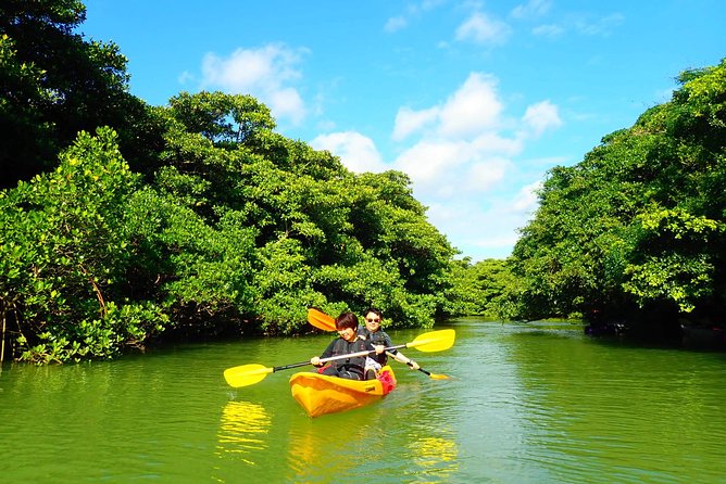 Okinawa Ishigaki Mangrove SUP or Canoe Tour - Ishigaki-jima from the water: what the second stop adds