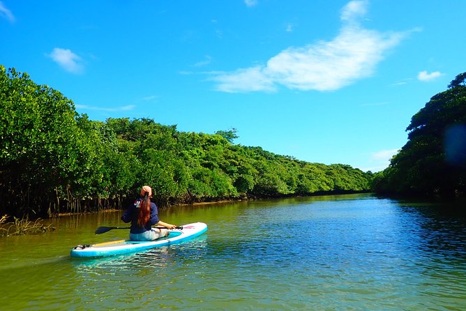 Okinawa Ishigaki Mangrove SUP or Canoe Tour - Guides that make or break it: Hiroki and Ken as examples