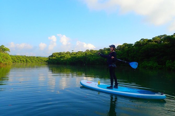 Okinawa Ishigaki Mangrove SUP or Canoe Tour - Safety and rules that actually help your day feel smooth
