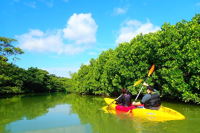 Okinawa Ishigaki Mangrove SUP or Canoe Tour - What you get after: showers and photo sharing