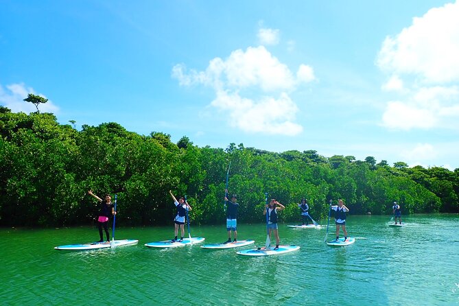 Okinawa Ishigaki Mangrove SUP or Canoe Tour - Price and value: is $52.19 worth it?