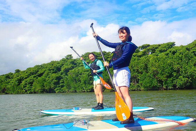 Okinawa Ishigaki Mangrove SUP or Canoe Tour - Miyara River Hirugi Grove: where calm water meets living habitat