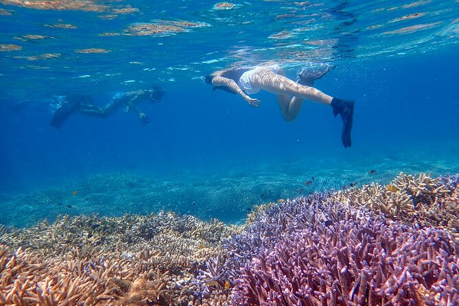 Okinawa Ishigaki Phantom Island Snorkeling Tour - Photos plus hot shower: the practical end of the trip