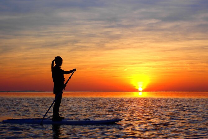 Okinawa Ishigaki Sunset SUP or Canoe Tour - Stop 1: Miyara River Hirugi Grove, Caves, Birds, and Quiet Paddling