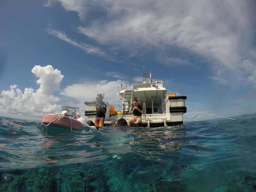 Okinawa : Kerama Whole Day Snorkeling Tour From Chatan/Naha - Key highlights you should care about