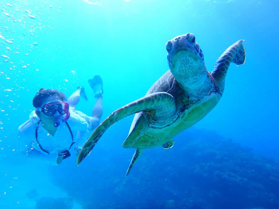 Okinawa : Kerama Whole Day Snorkeling Tour From Chatan/Naha - Kerama Islands from a boat, not a complicated itinerary