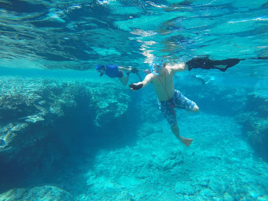Okinawa : Kerama Whole Day Snorkeling Tour From Chatan/Naha - Communication, crew style, and getting your photos