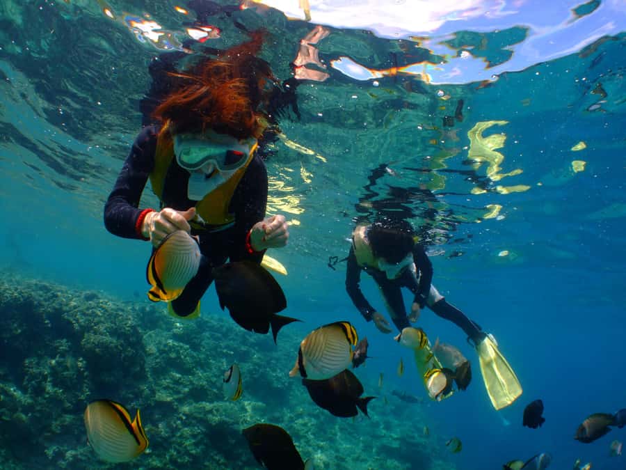 Okinawa : Kerama Whole Day Snorkeling Tour From Chatan/Naha - Getting to the water, from Chatan or Naha