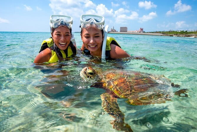 Okinawa Miyako Sea turtle Snorkeling Free Pick up and Drop off - The Guide Experience: Why Taku Shows Up Again and Again