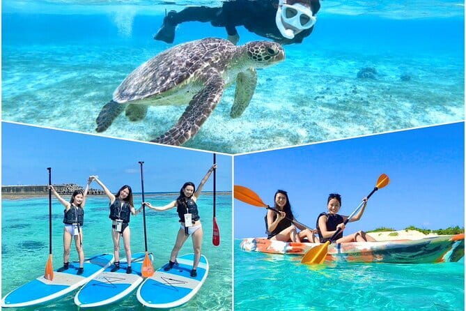 Okinawa Miyako Sea turtle Snorkeling Free Pick up and Drop off - Group Size, Participation Rules, and Who This Fits Best