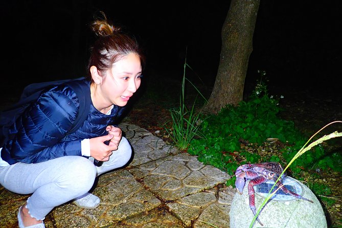 Okinawa Miyako Star Gazing & Subtropical Jungle Night Tour - Why Miyako at Night Feels Like a Different World