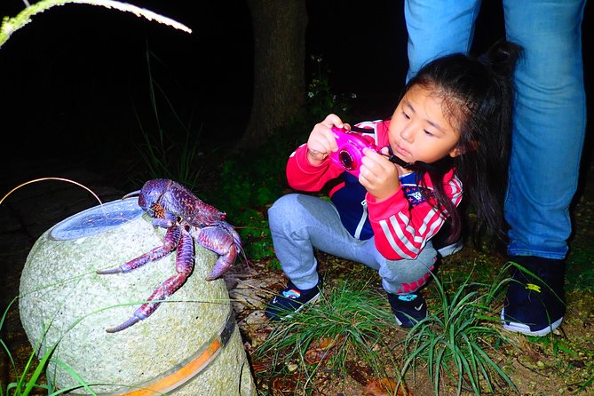 Okinawa Miyako Star Gazing & Subtropical Jungle Night Tour - Getting There at Night: The Practical Move in Miyakojima
