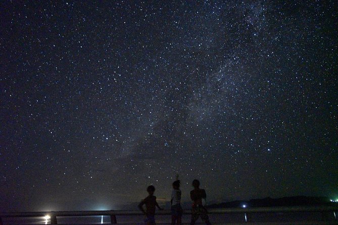 Okinawa Miyako Star Gazing & Subtropical Jungle Night Tour - Jungle Wildlife Walk: Coconut Crabs and the Reality of Night Creatures