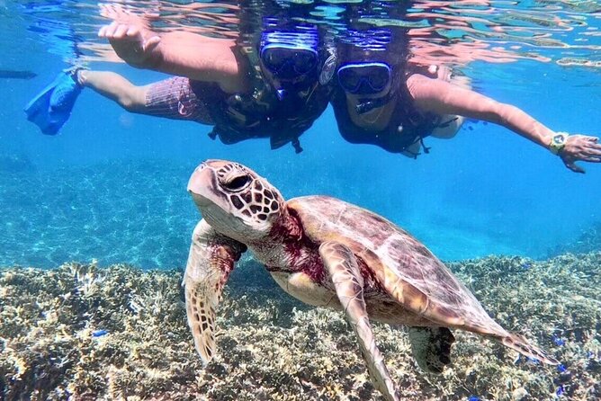 Okinawa Miyakojima 1 day Sea Turtle Snorkeling & Pumpkin Cave & Sea Kayak - A Miyakojima half-day of sea turtles, paddling, and cave crawling