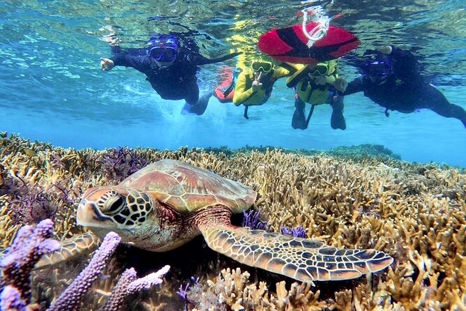 Okinawa Miyakojima 1 day Sea Turtle Snorkeling & Pumpkin Cave & Sea Kayak - Canoeing to Pumpkin Hall: the ride that sets up the cave