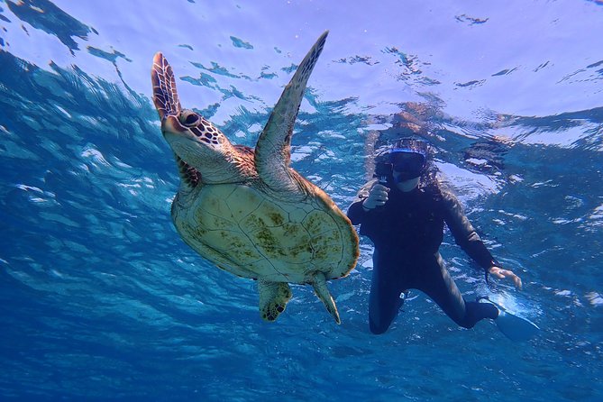 Okinawa Miyakojima 1 day Sea Turtle Snorkeling & Pumpkin Cave & Sea Kayak - Price and value: is $99.10 a fair deal for this mix?