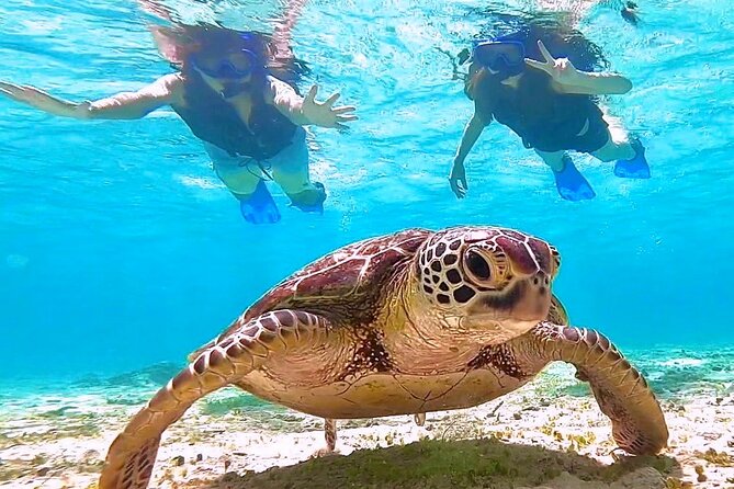 Okinawa Miyakojima 1 day Sea Turtle Snorkeling & Pumpkin Cave & Sea Kayak - Guides, language, and why it matters for beginners