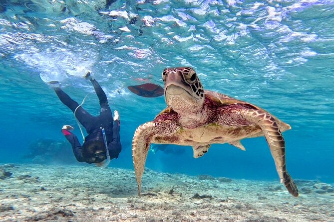 Okinawa Miyakojima 1 day Sea Turtle Snorkeling & Pumpkin Cave & Sea Kayak - Lunch break timing and how it affects the whole day