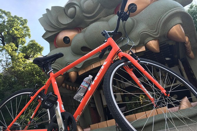 One-Day Osaka Bike Adventure: 5-6 Hours - Who This Osaka Bike Tour Is Best For