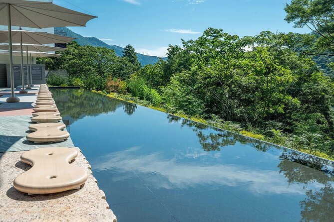 One day trip to Hakone from Tokyo with English speaking Driver - Should you book this Hakone private day trip?