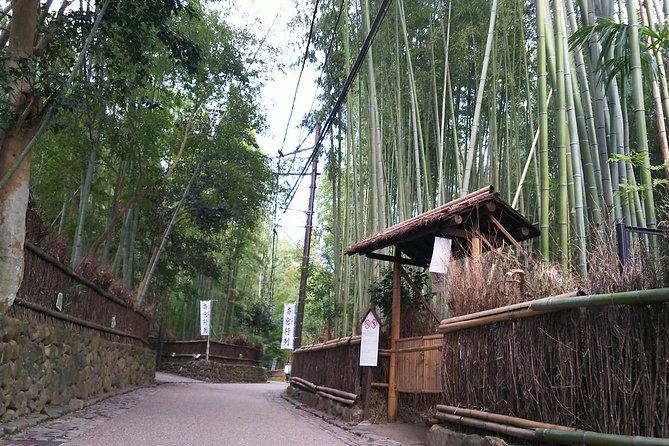 One-Day Walking Tour : Enjoy Kyoto to the fullest! - Walking Reality Check: Heat, Shoes, and Day Energy