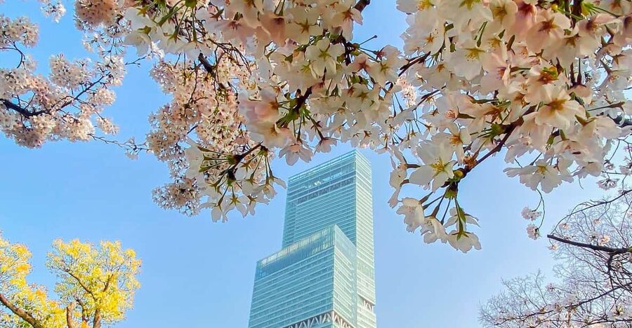 Osaka: Abeno Harukas 300 Observatory E-Ticket - Price and value, what $3.40 really buys you