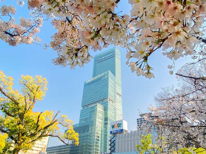 Osaka: Abeno Harukas 300 Observatory E-Ticket - The 59th and 58th floors, where the rules affect your comfort