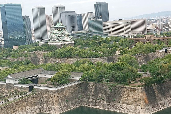Osaka Castle & Dotonbori Lively One-Day Walking Tour - Key highlights worth planning for