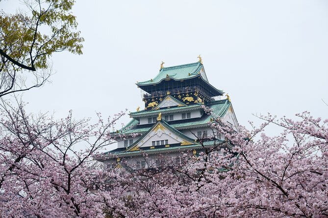 Osaka Castle & Samurai History Walking Tour - Key highlights you’ll feel fast