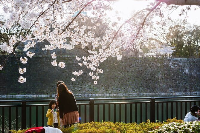 Osaka Castle & Samurai History Walking Tour - Osaka Castle samurai history, told in the places where it happened