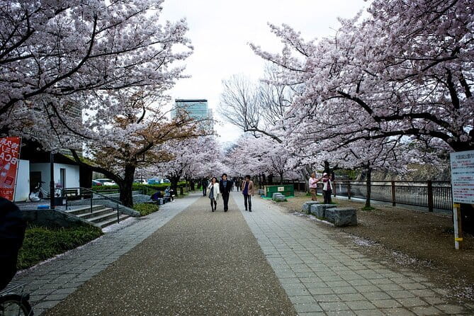 Osaka Castle & Samurai History Walking Tour - Stop at Osaka Castle Main Tower, views plus the one ticket you may need
