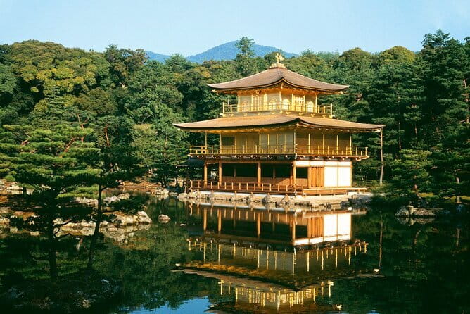 Osaka Castle & Samurai History Walking Tour - Osaka Castle Park, where the historic walls share space with daily life