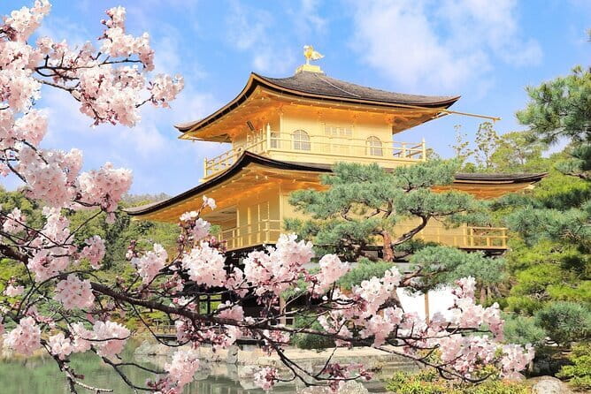 Osaka Castle & Samurai History Walking Tour - How the guides make this tour feel worth $22