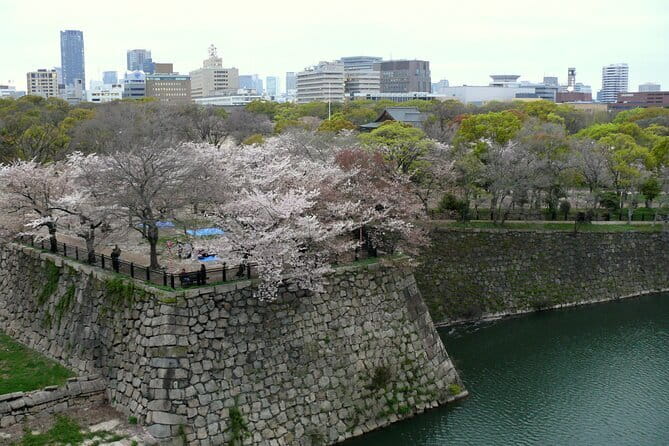Osaka Castle & Samurai History Walking Tour - Price and logistics, what you need to know before you go